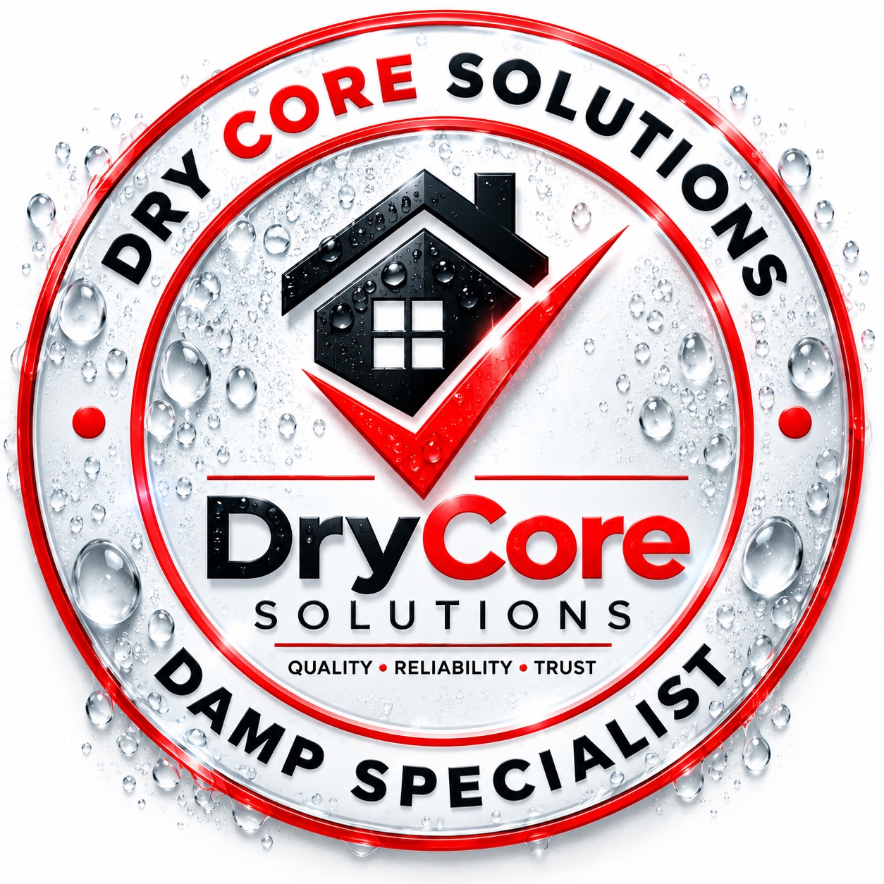 Dry Core Solutions Damp Specialist badge — Quality, Reliability, Trust